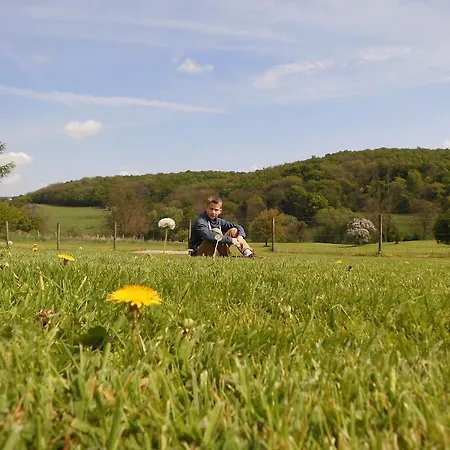 特古尔达尔伟伦图文酒店